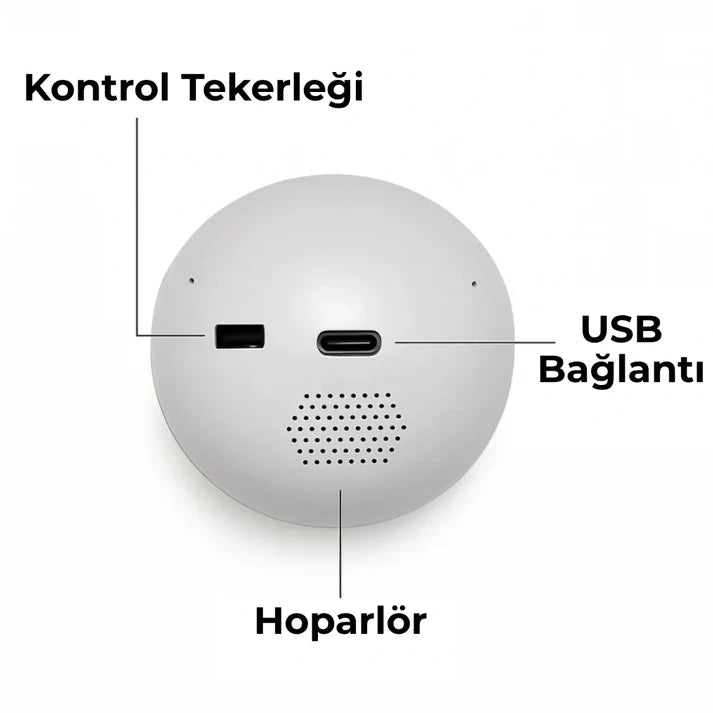 Anı Küresi