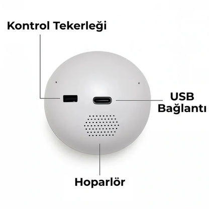 Anı Küresi
